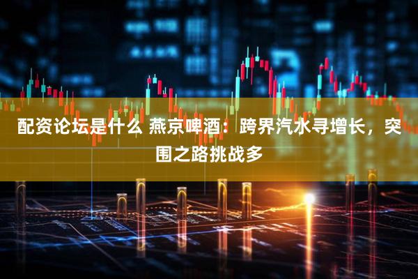 配资论坛是什么 燕京啤酒：跨界汽水寻增长，突围之路挑战多