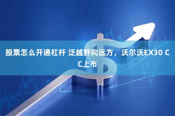 股票怎么开通杠杆 泛越野向远方,沃尔沃EX30 CC上市