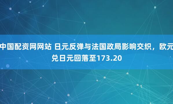 中国配资网网站 日元反弹与法国政局影响交织，欧元兑日元回落至173.20